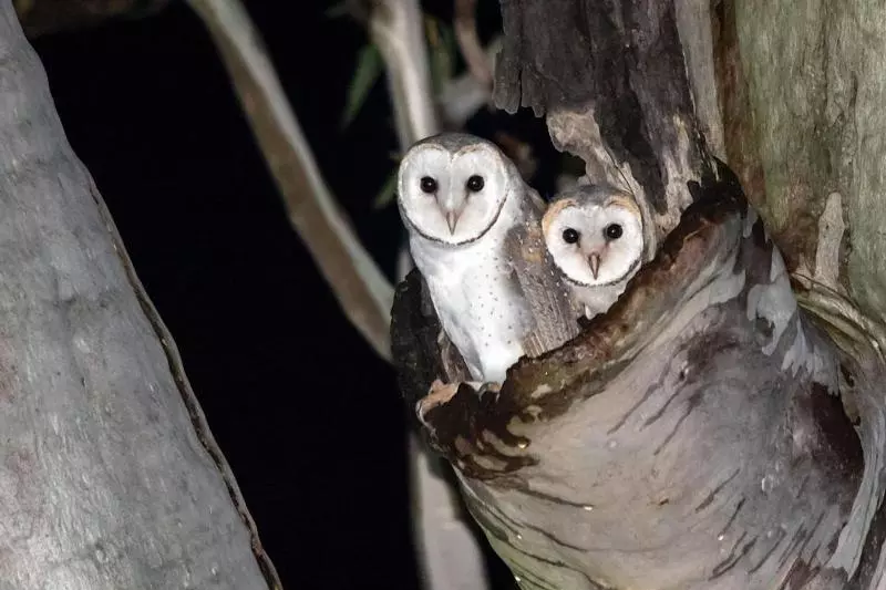 Bed and Breakfast Mapleton Springs