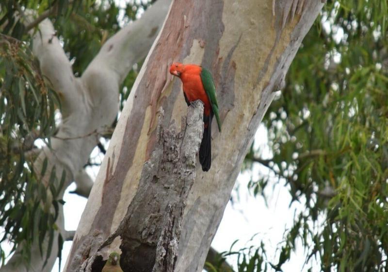 צימר Mapleton Springs