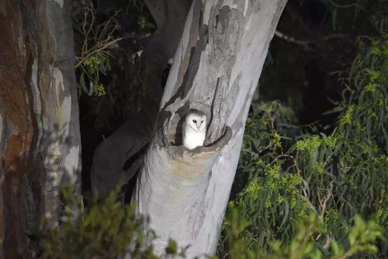 Bed and Breakfast Mapleton Springs