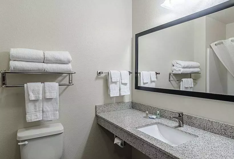 Hotelli Cobblestone Inn & Suites  Guernsey