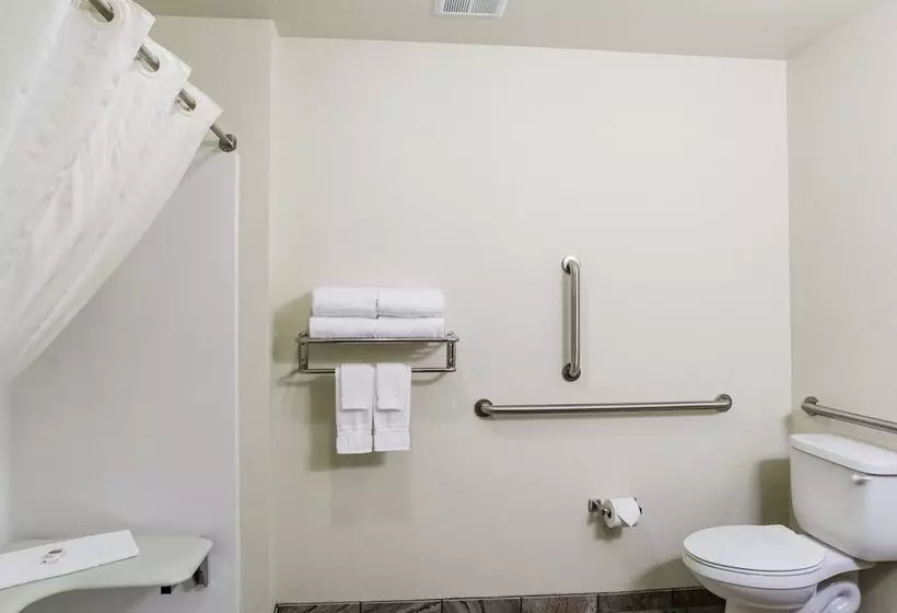 Hotelli Cobblestone Inn & Suites  Guernsey