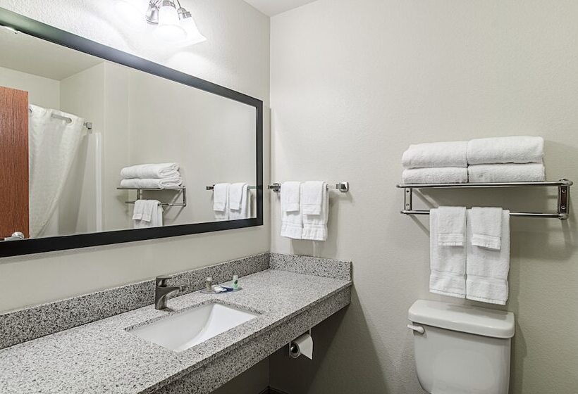 Отель Cobblestone Inn & Suites Guernsey