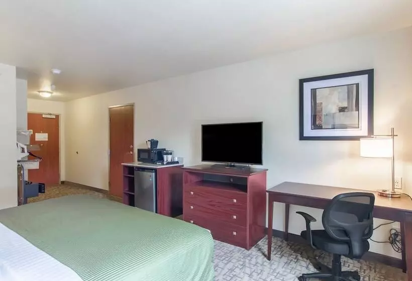 Hotelli Cobblestone Inn & Suites  Guernsey