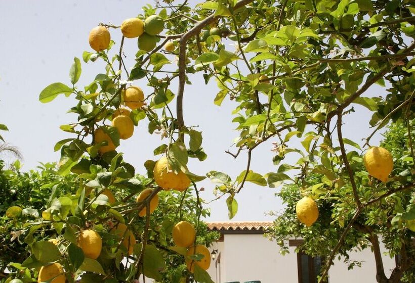 酒店 Terra Dei Limoni