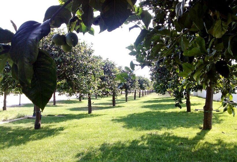 酒店 Terra Dei Limoni