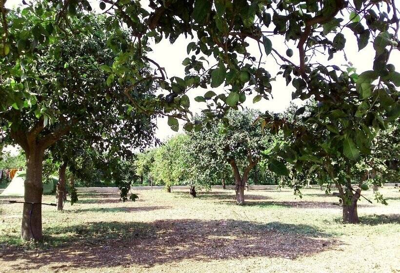 酒店 Terra Dei Limoni