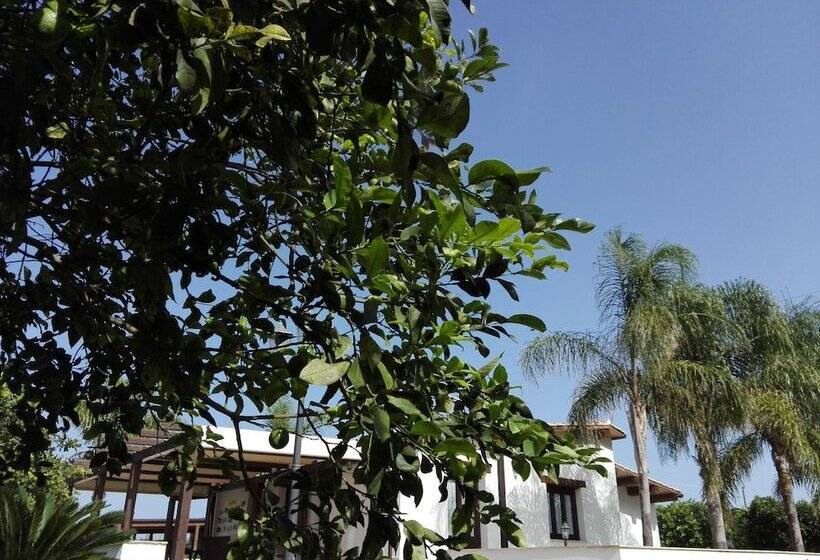 酒店 Terra Dei Limoni