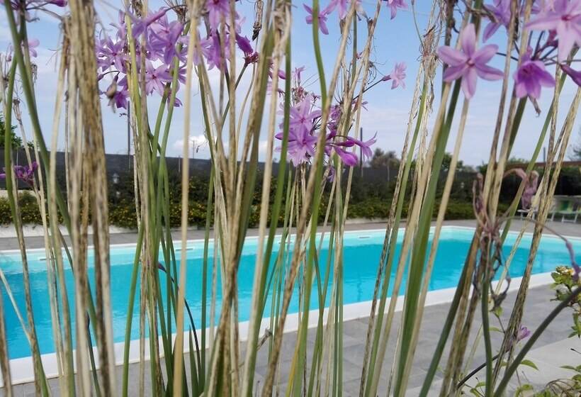 酒店 Terra Dei Limoni