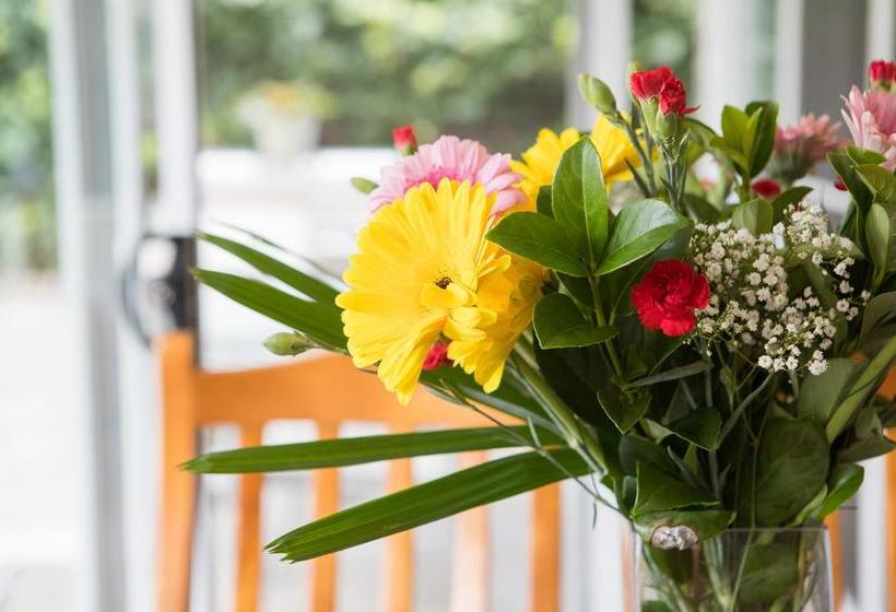 בית מלון כפרי Armidale Cottage   House 2