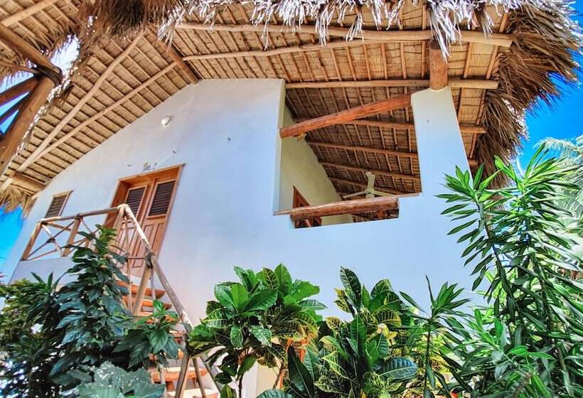 استراحتگاه Paradiso Del Caribe