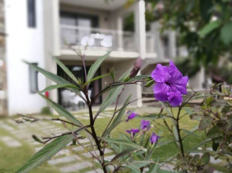 Valmarin Seafront Apartments
