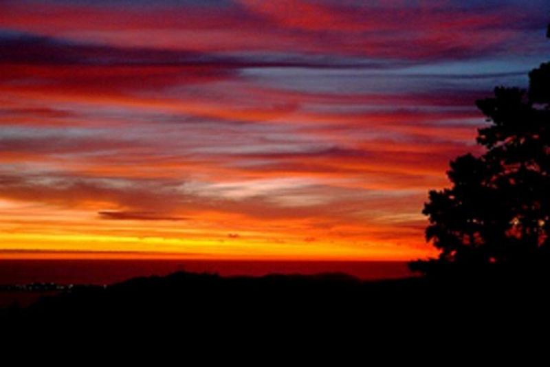 Fotos del hotel Bay View Guest Apartments:  4