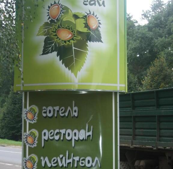 ホテル Complex Zelenyi Gai