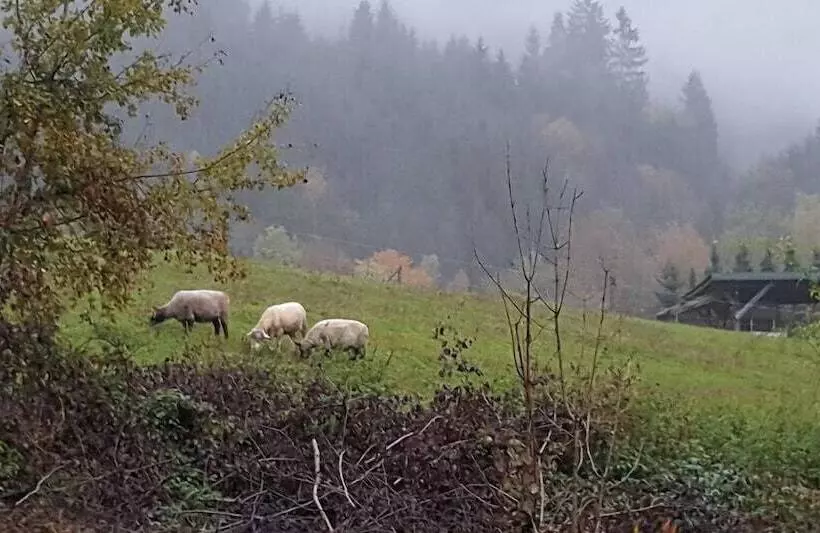 Ferien Vom Ich, Bayerischer Wald, Hotel & Restaurant