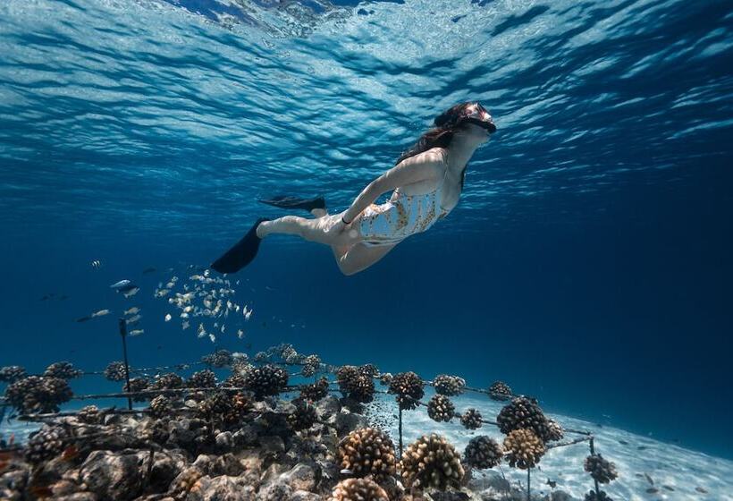 هتل Fushifaru Maldives