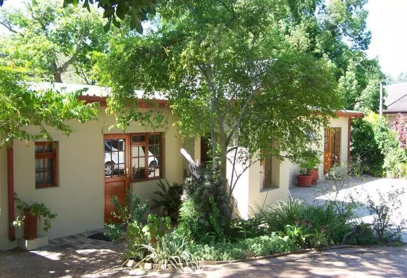 ホテル Mongoose Manor Bnb