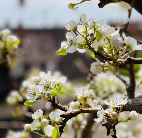 فندق Pension Baarblick