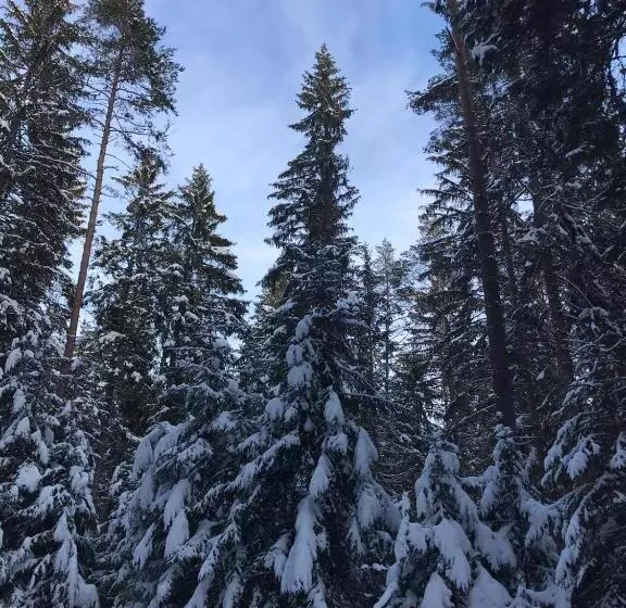 Hotelli Pension Baarblick