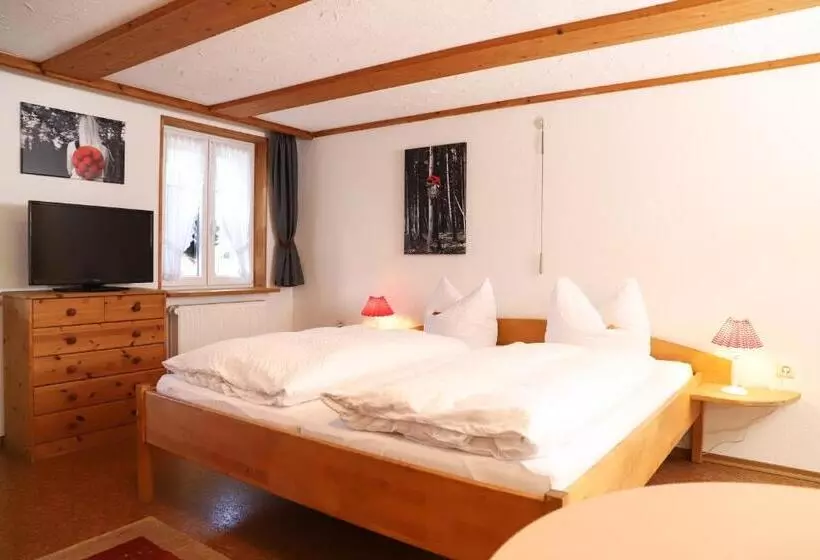 Hotelli Pension Baarblick