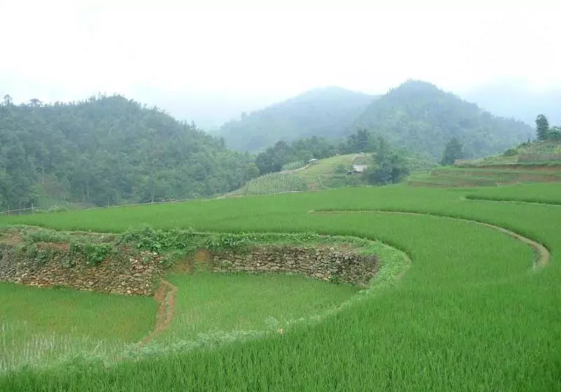 هتل Sapa Cozy