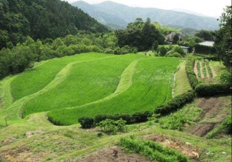 בית מלון כפרי Yagyu No Sho