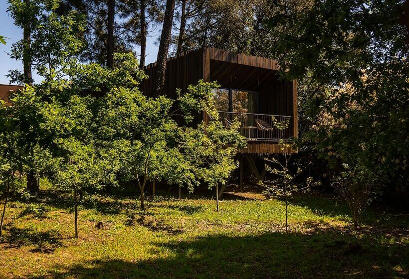 پانسیون Quinta Do Pedregal Hotel & Spa