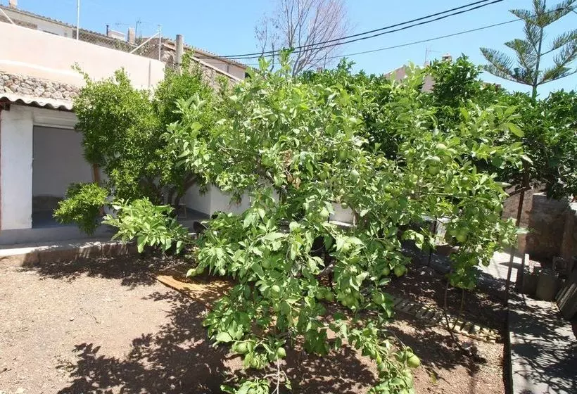 Villa Esporles Garden