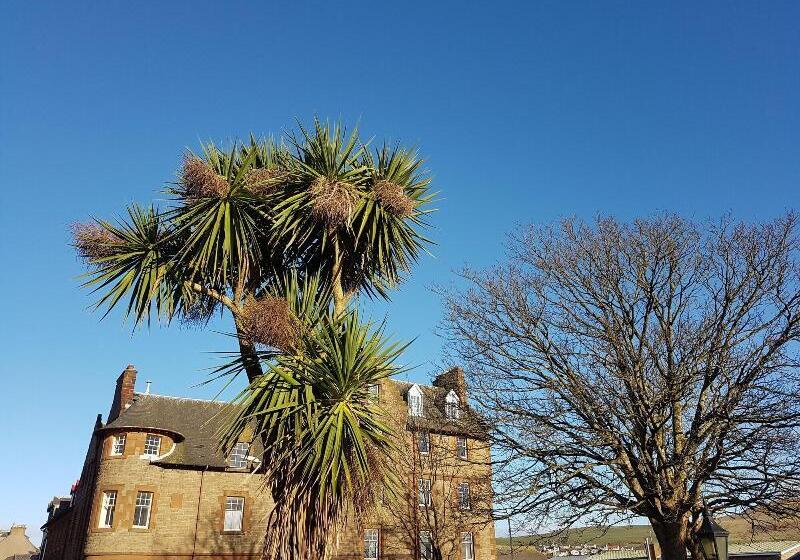 בית מלון כפרי Ardshiel