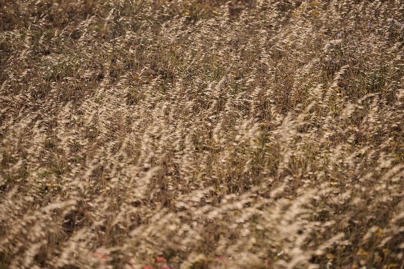 فندق Elia Mykonos Collection