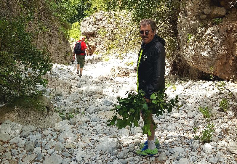 בית מלון כפרי Sunday Maria