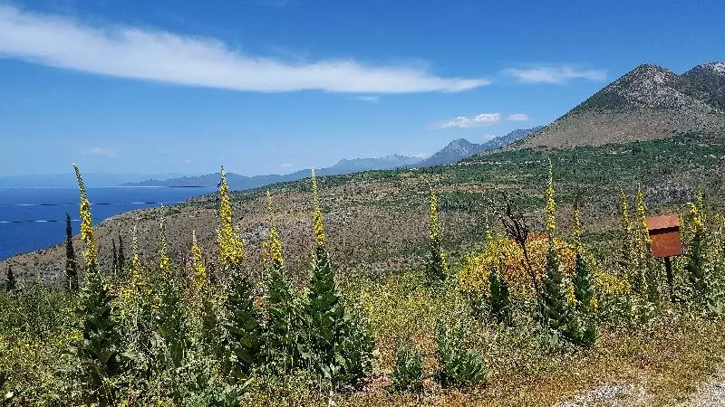 Hotelli Sunday Maria