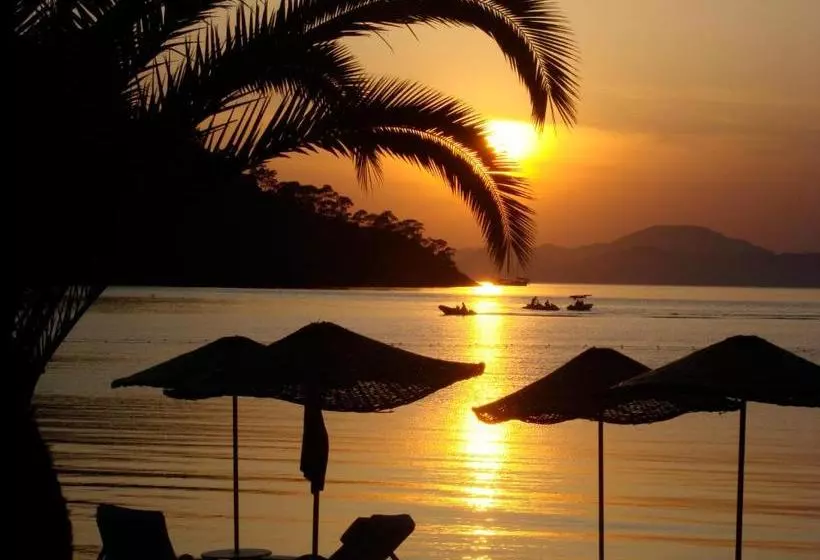 Lighthouse Alexa Villas