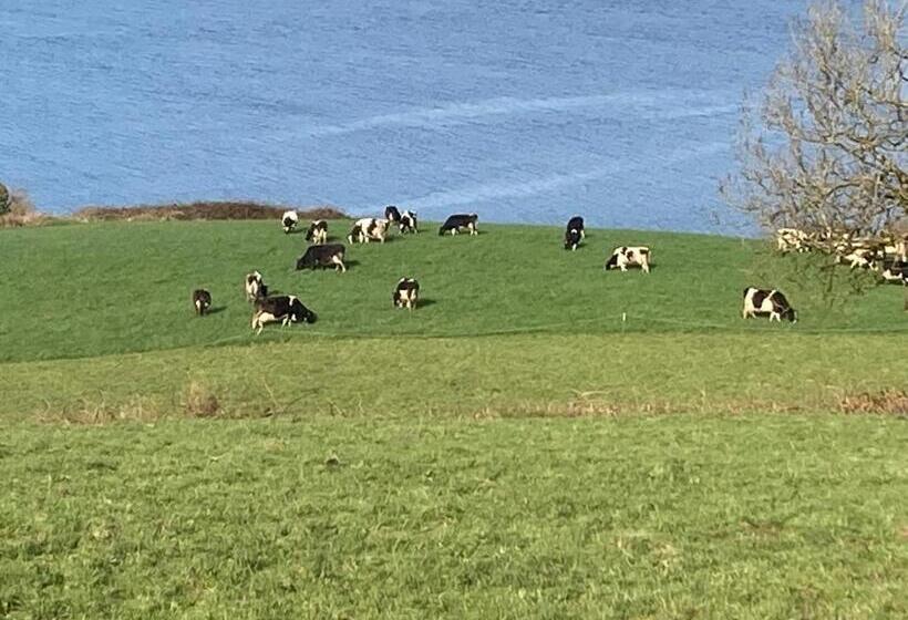 مبيت وإفطار Dromcloc House