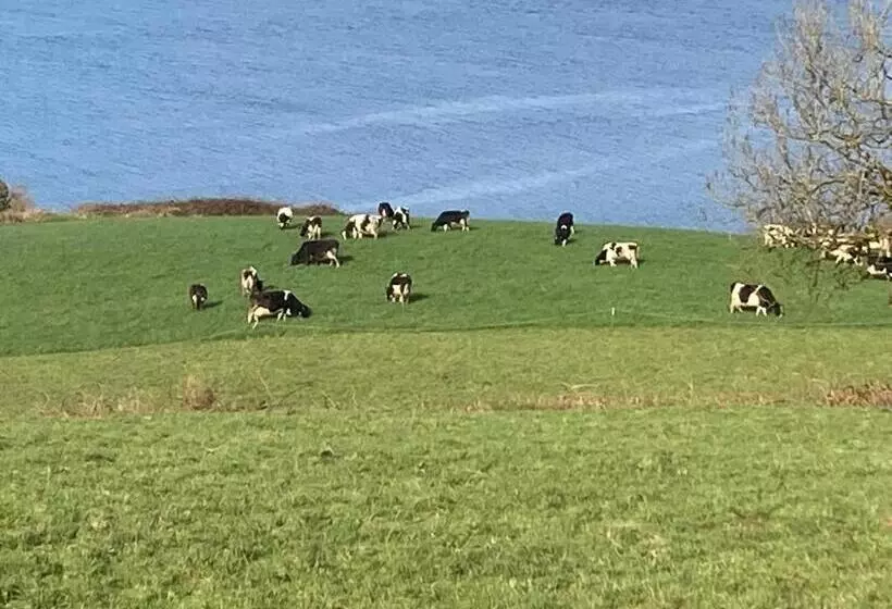 ベッドアンドブレックファースト Dromcloc House