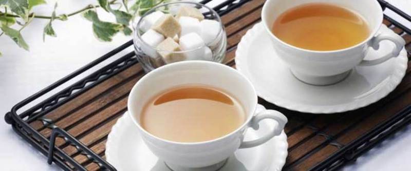 Bed and Breakfast Ocean Breeze