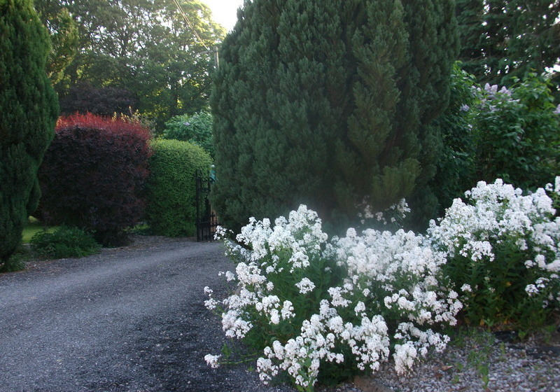 Castleview Farm Bed & Breakfast