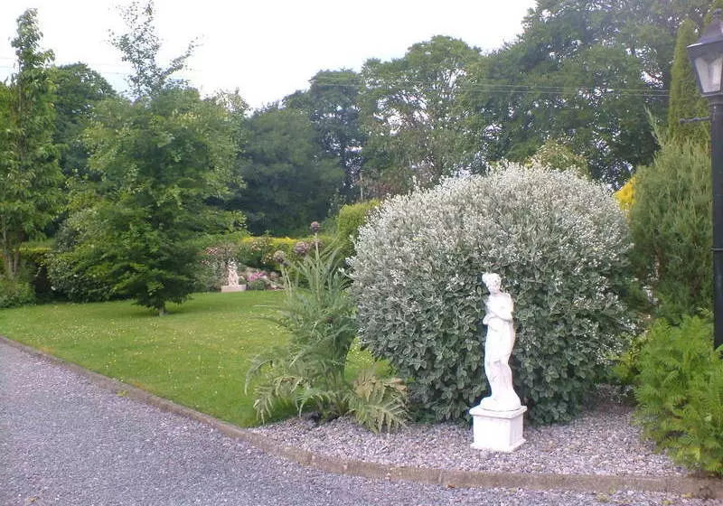 Castleview Farm Bed & Breakfast