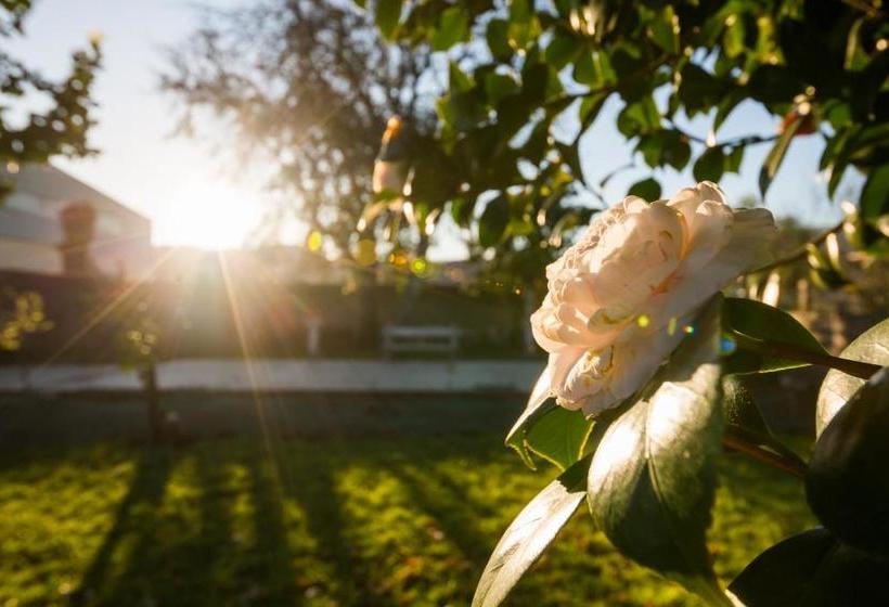 酒店 Albergue Villa San Clemente