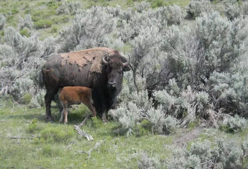 ホテル Chateau Rouge