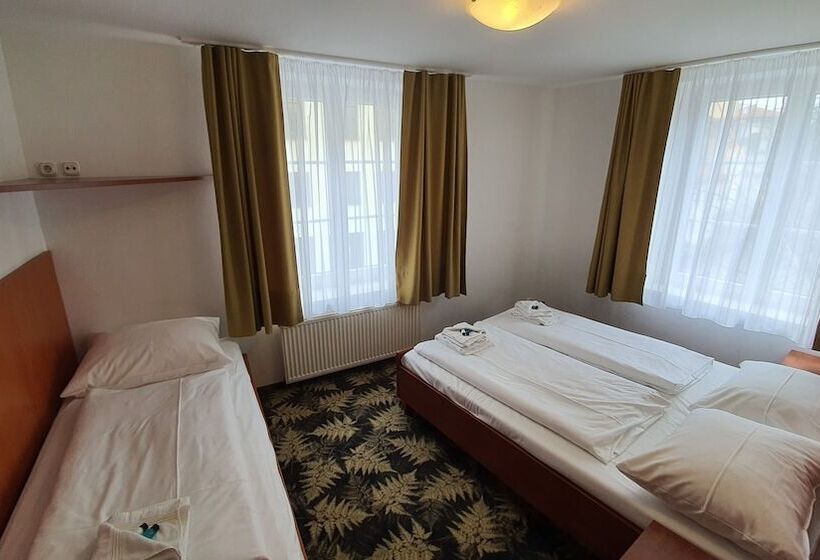 Hotel Der Tannenbaum