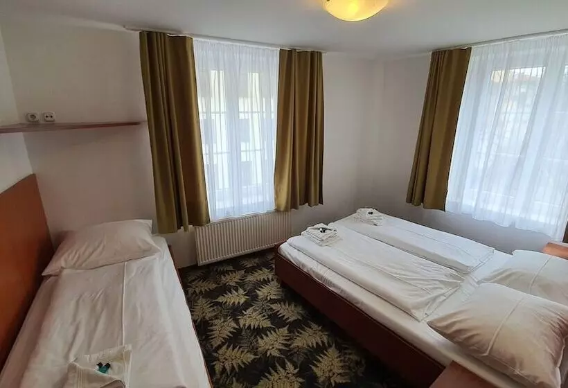 هتل Der Tannenbaum