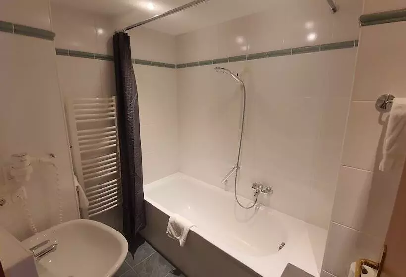 هتل Der Tannenbaum