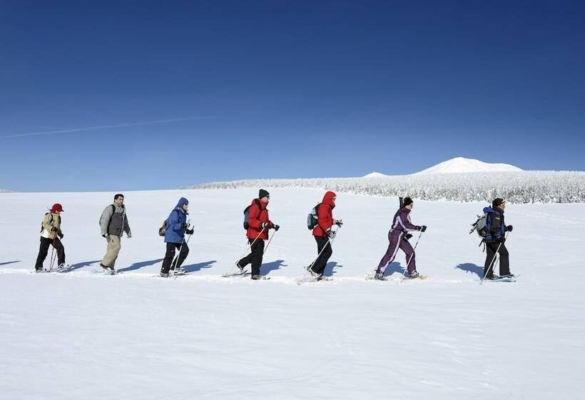 בית מלון כפרי Vvf Hauteloire Les Estables