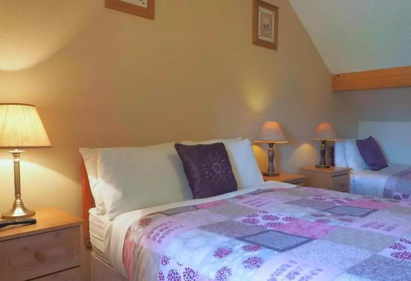 Stonehaven B&b
