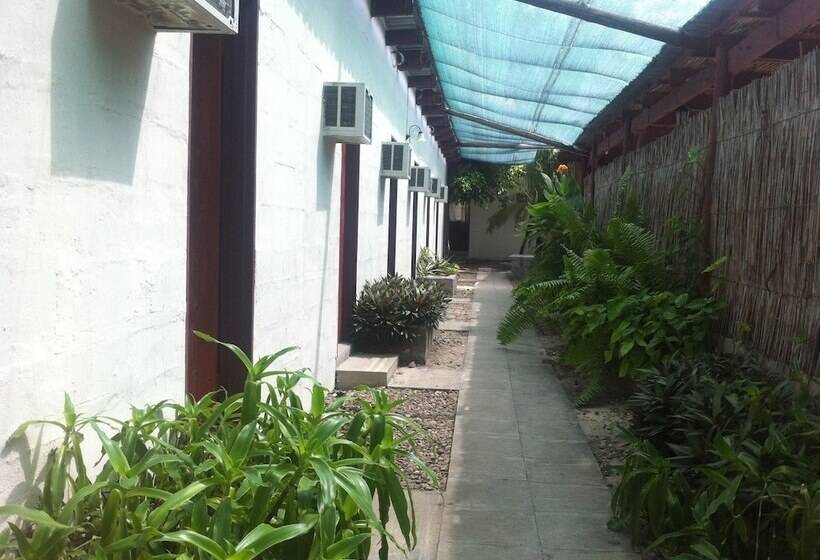 هتل Alfa Accommodation