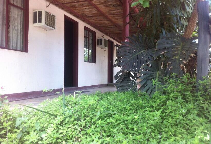 هتل Alfa Accommodation