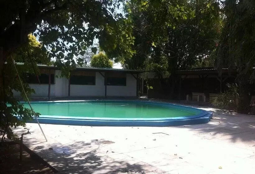 هتل Alfa Accommodation