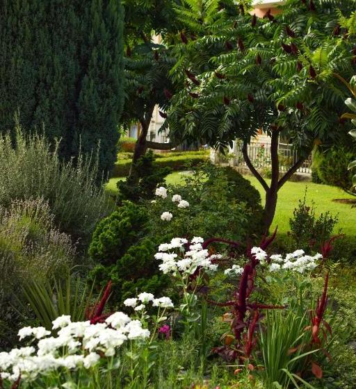 ホテル Arcadia Apart Complex