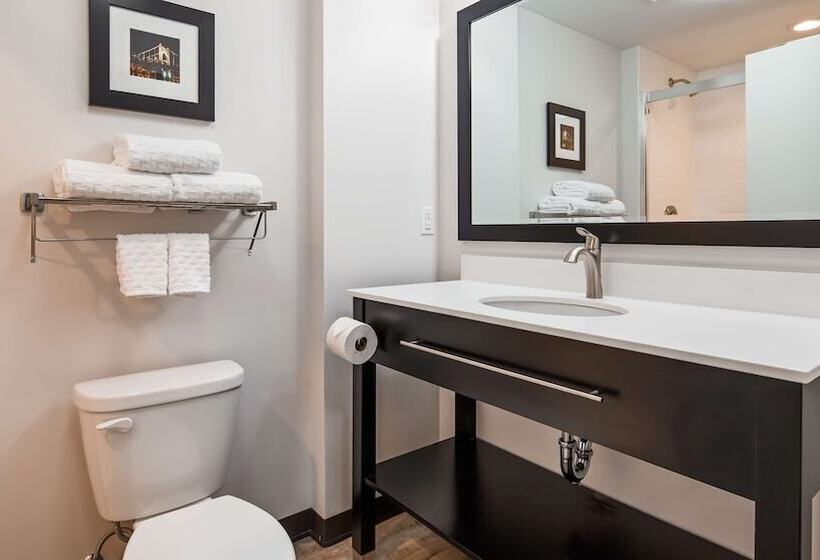 酒店 Best Western Plus Cranberrypittsburgh North