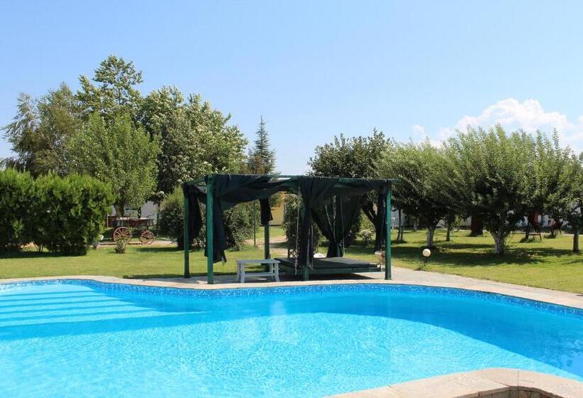 Hotel Galeria In The Garden